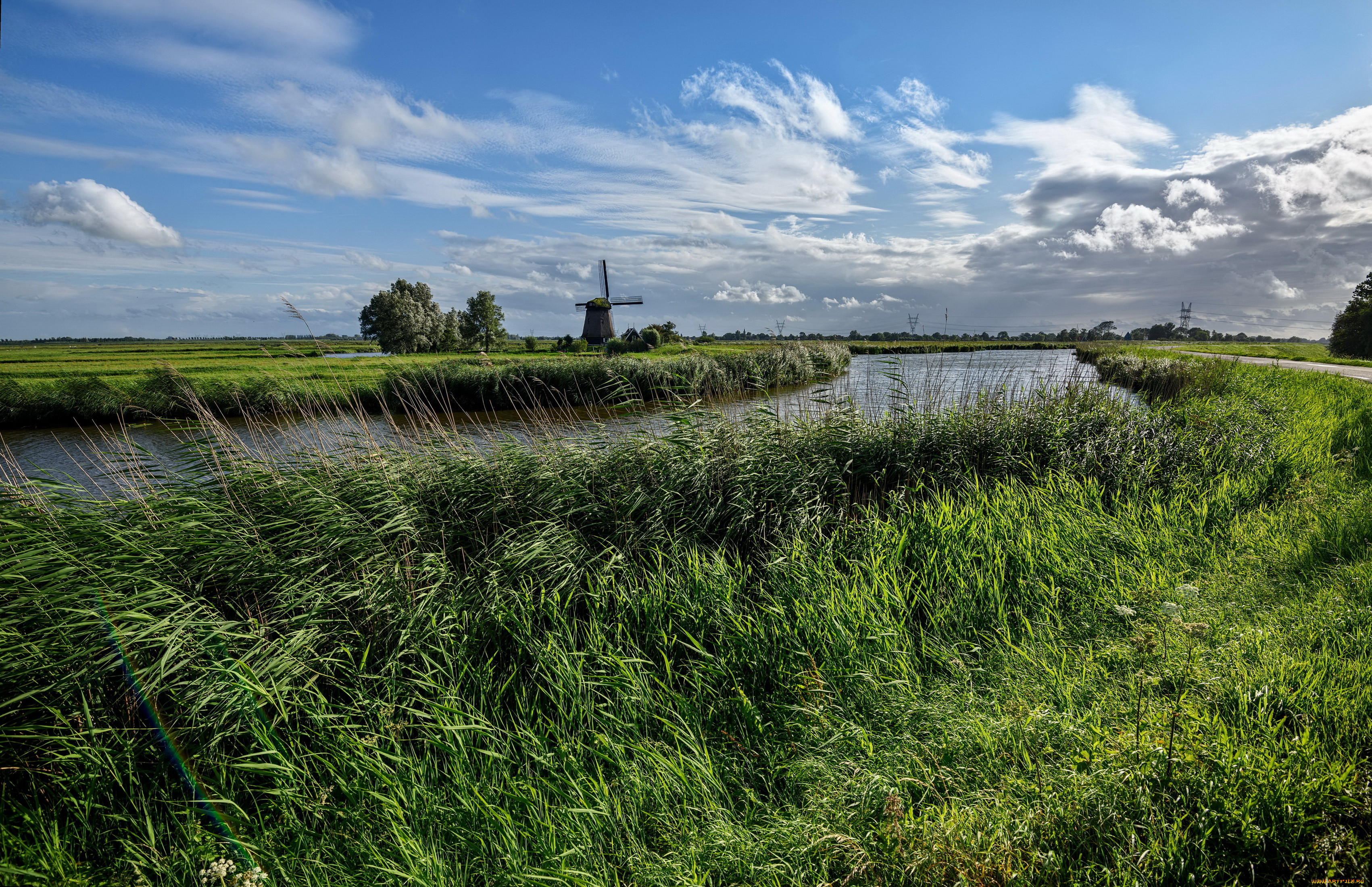  edam, , , , , , , , edam, 